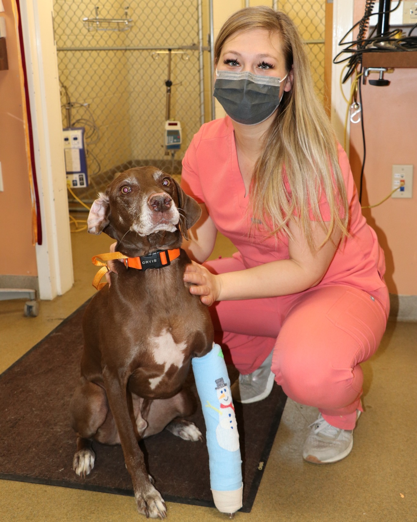 Medical Emergencies Portland Veterinary Emergency and Specialty Care