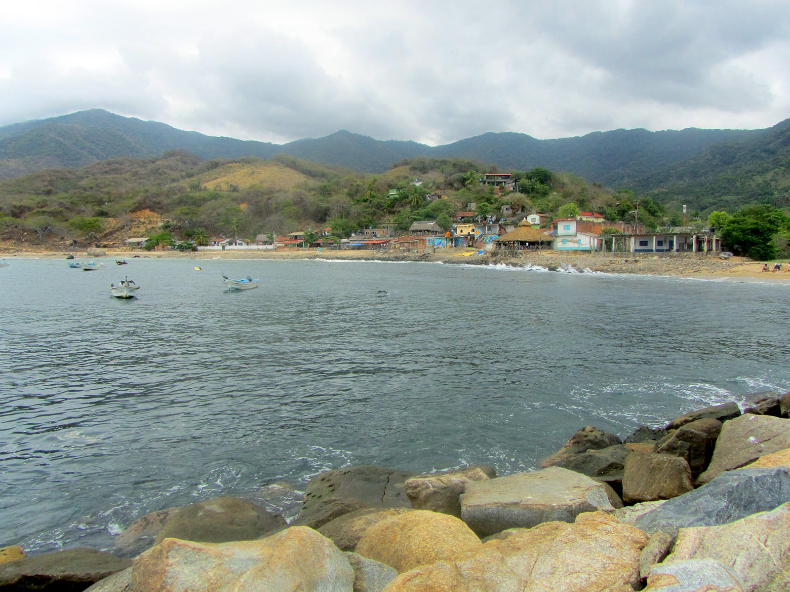 Chimo PV Ocean Tours