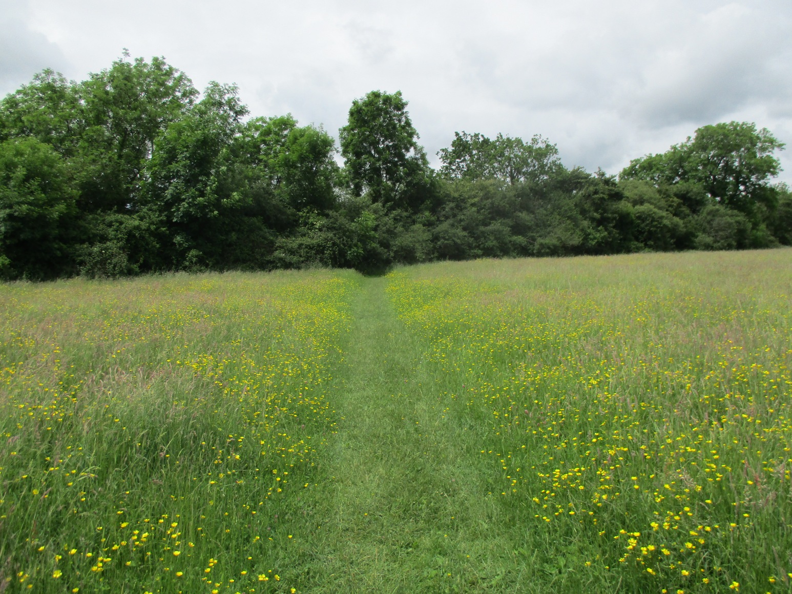 15 June 2016 BourtonontheWater Pang Valley Ramblers