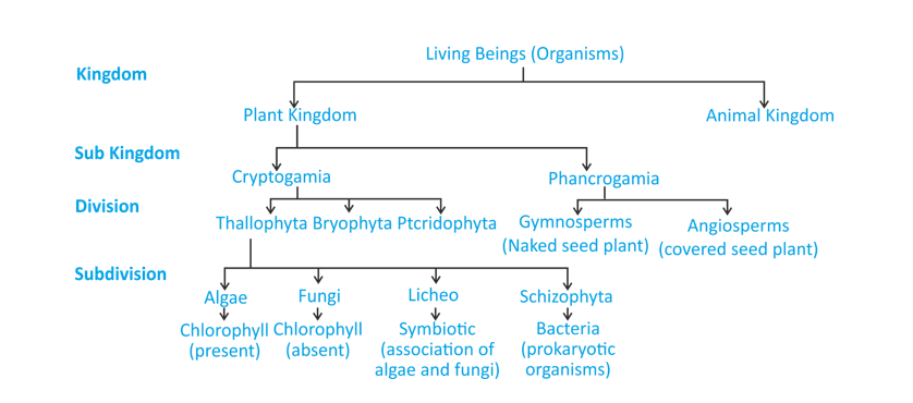 Drawbacks of Two Kingdom Classification Class 11 | Physics Wallah