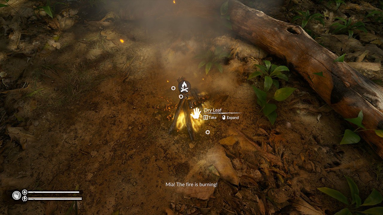 Green Hell Where to find a Dry Leaf PwrDown