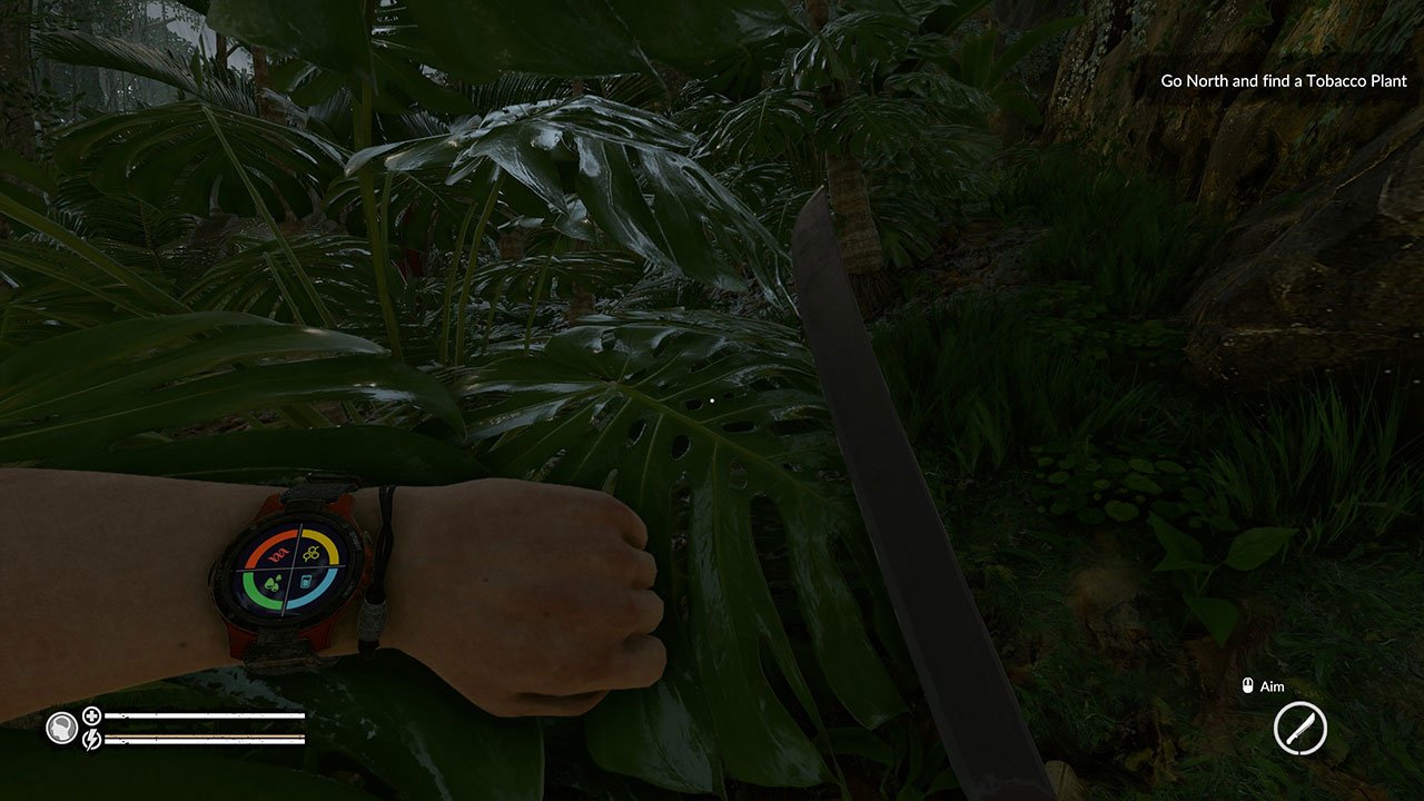 Green Hell How to use the Compass PwrDown