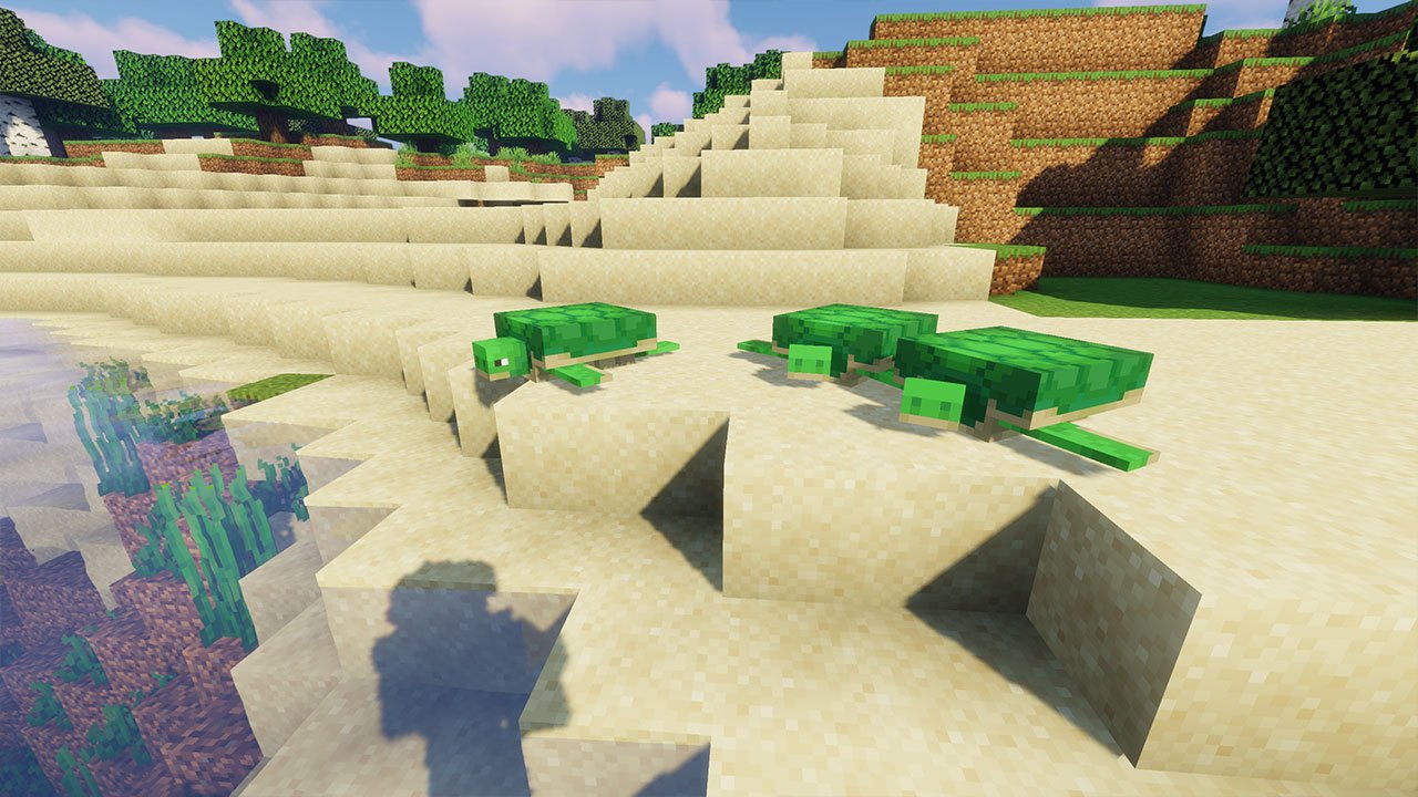 Minecraft Turtle Guide How to Find, Tame, Breed & Get