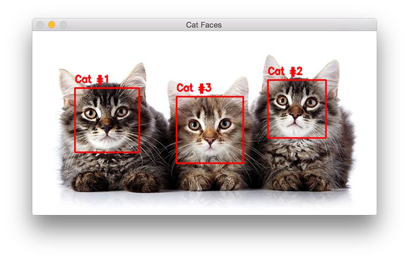 Detecting cats in images with OpenCV PyImageSearch