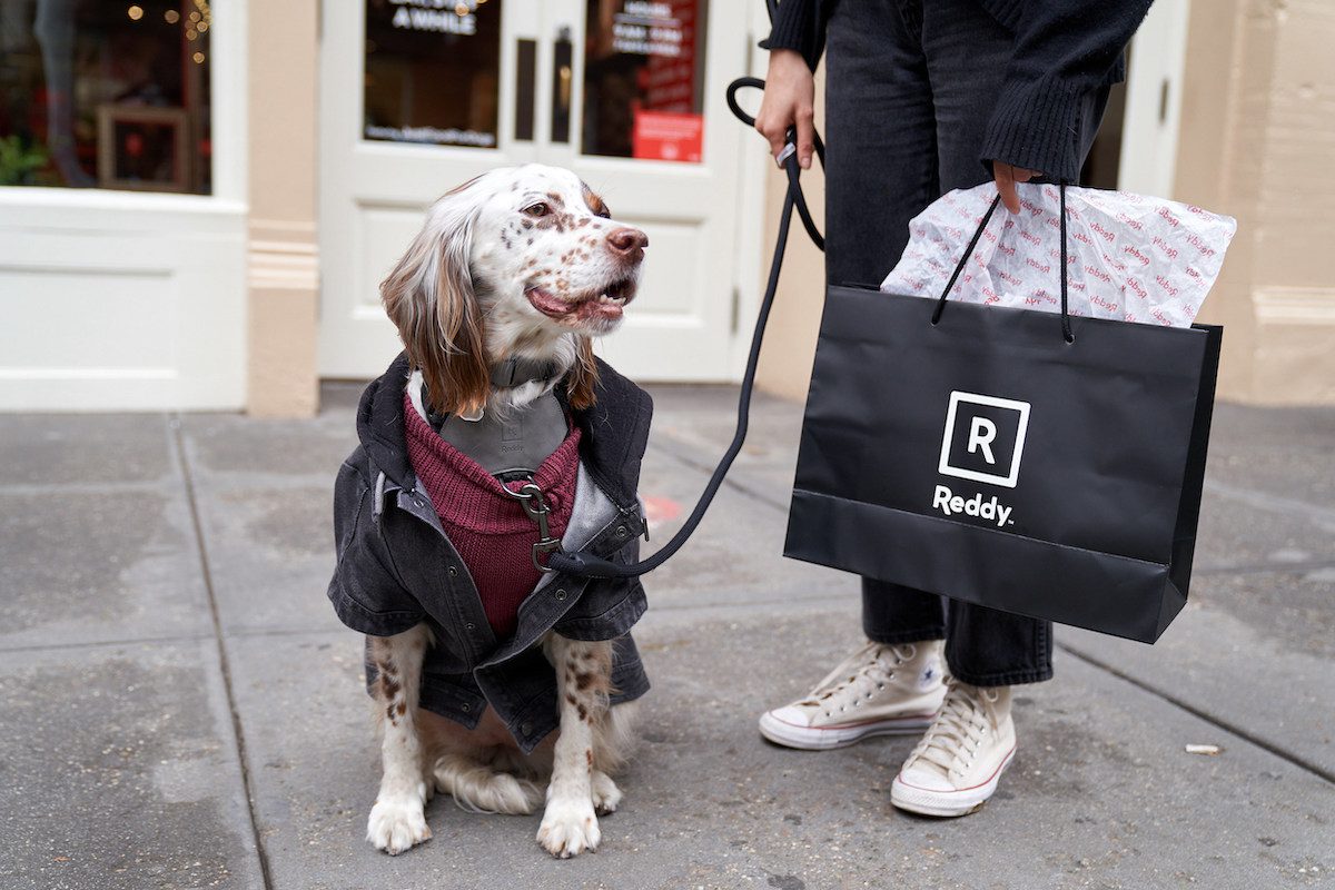 Petco Opens Reddy Boutique for Dogs in NYC