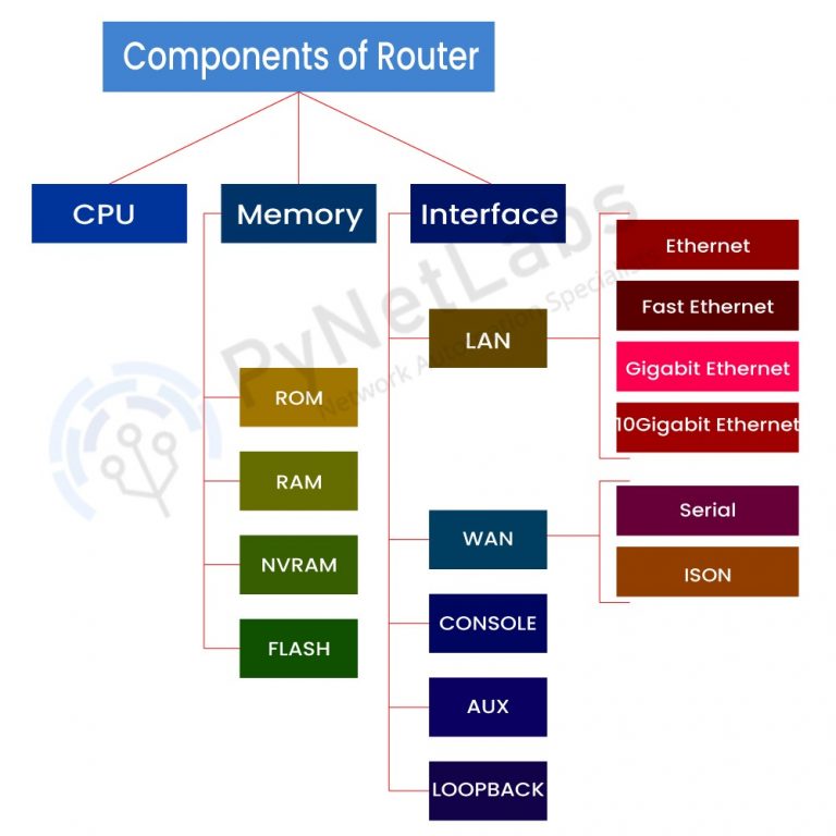 What are the Components of a Router? Labs