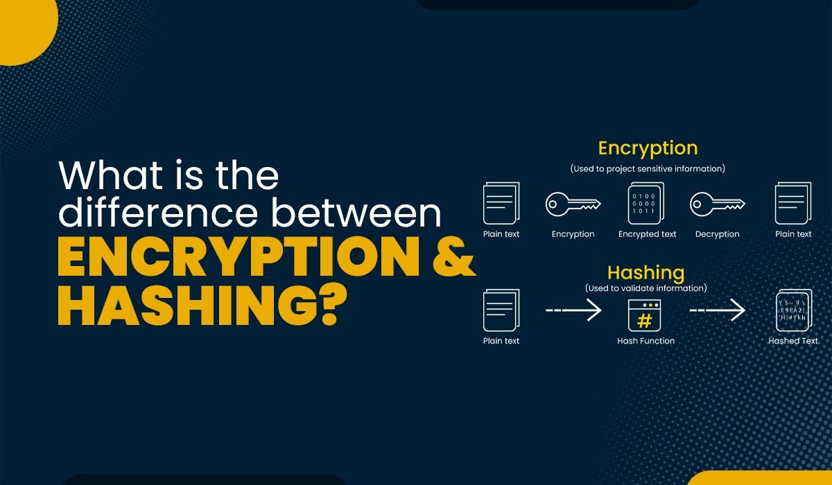 Difference Between Encryption and Hashing Labs