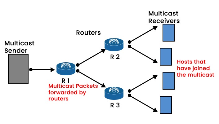 What is Multicasting in Computer Networks? - PyNet Labs