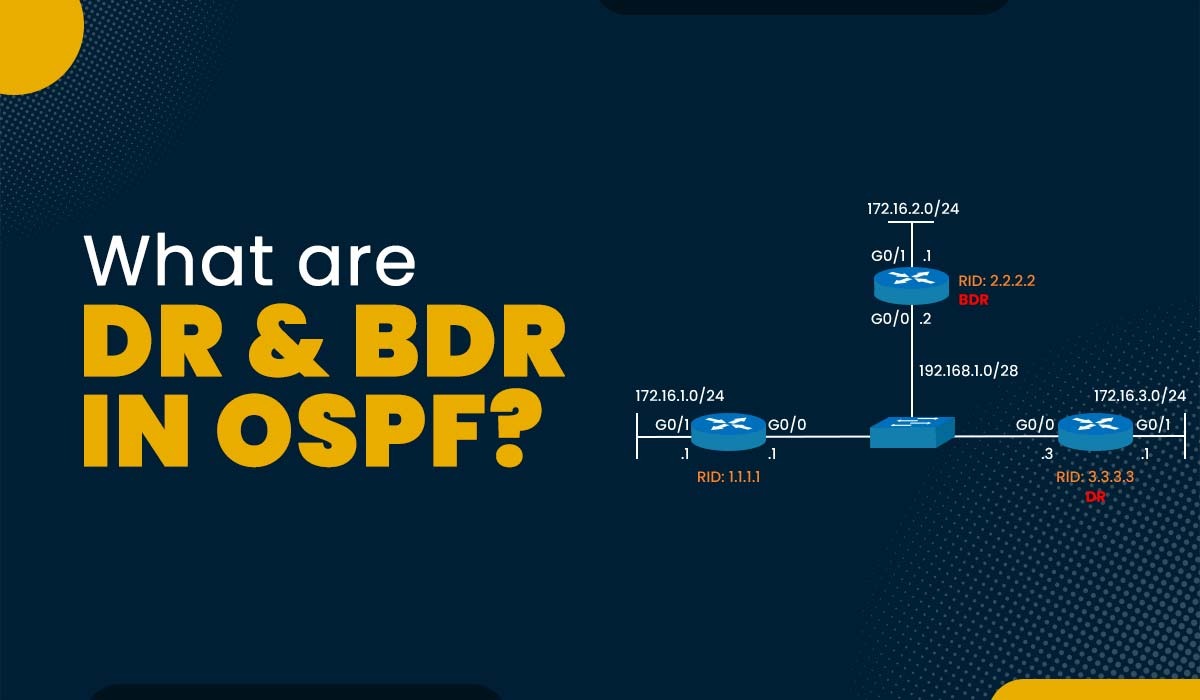DR and BDR in OSPF Roles and Election Process Labs