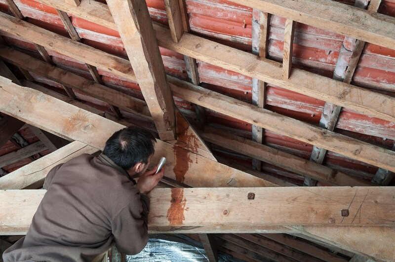 Roof Leak Inspections A Homeowner's DIY Guide