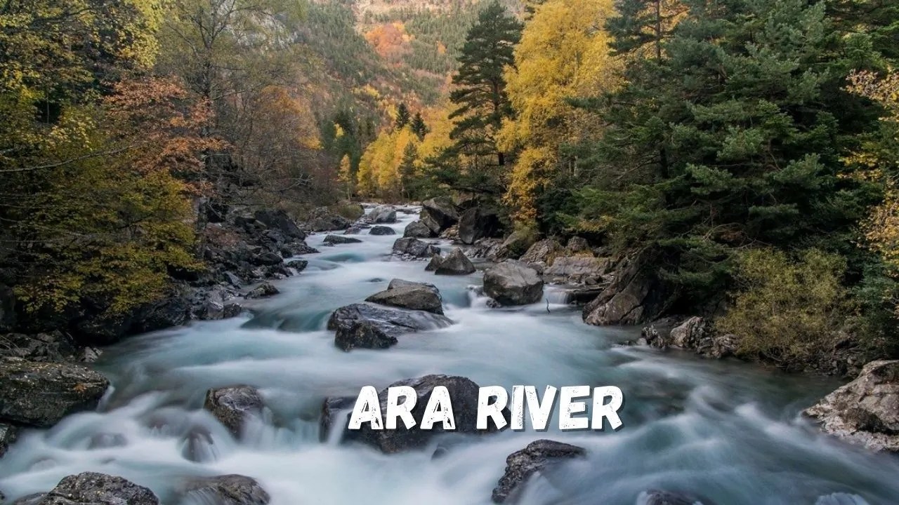 TOP 10 Rivers for Fly Fishing in Spain