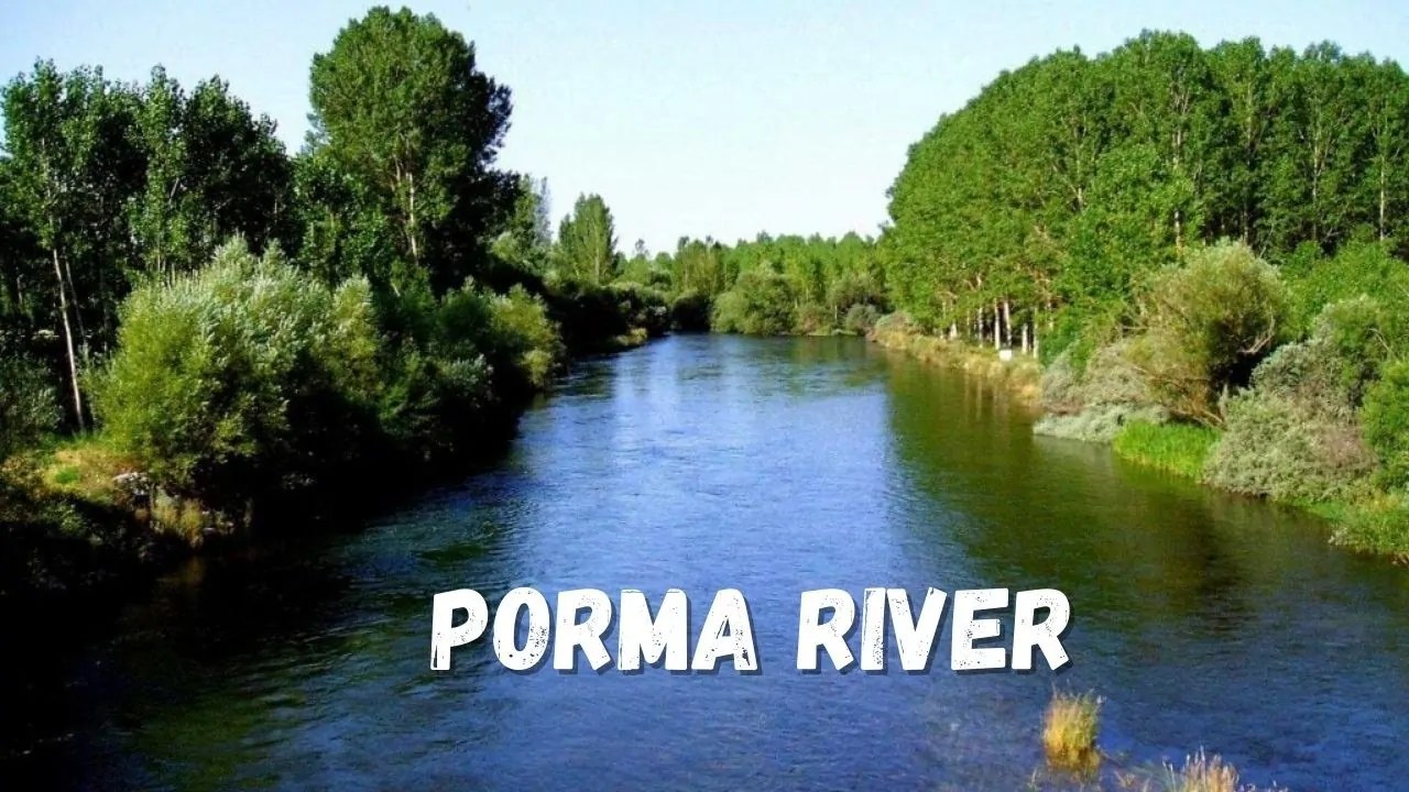 TOP 10 Rivers for Fly Fishing in Spain