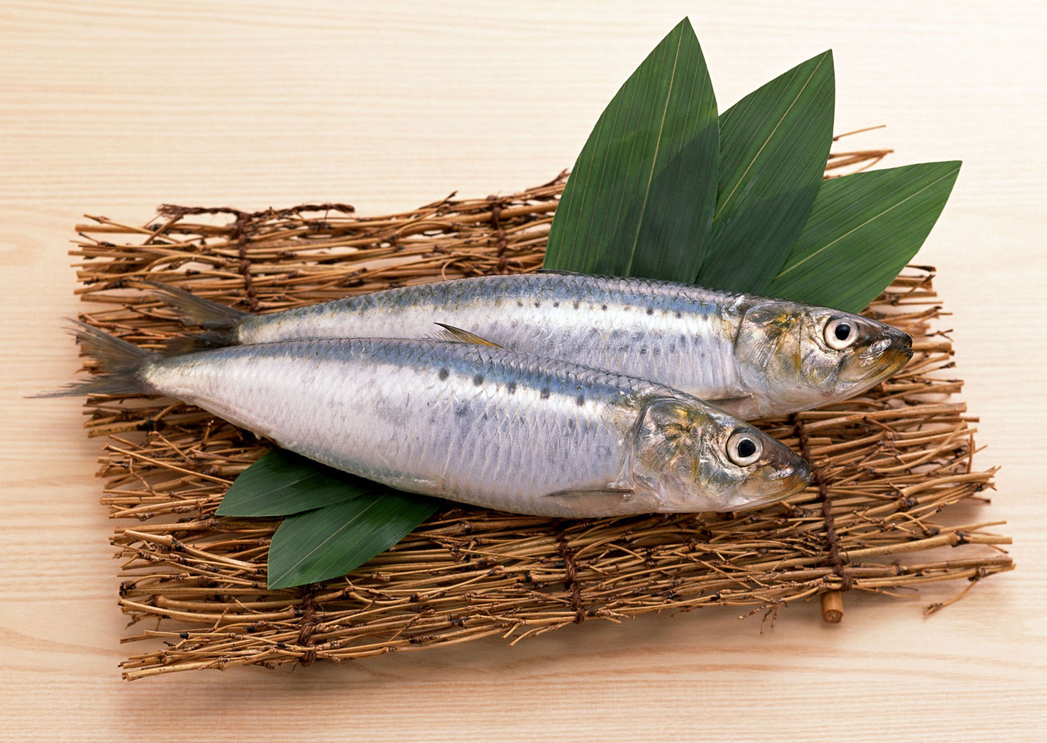 Sardines Little Fish, Superfood
