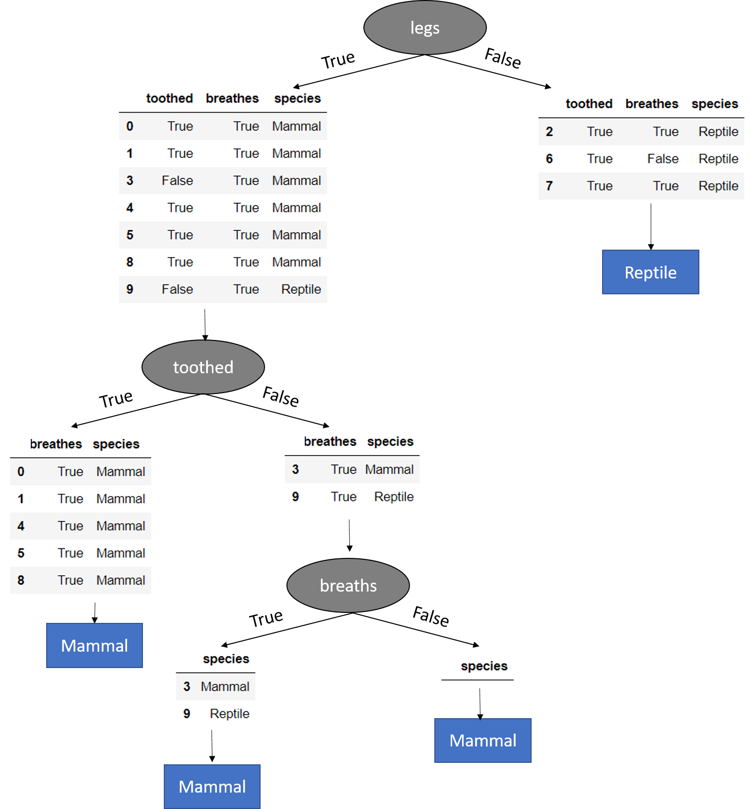 Completed Decision Tree