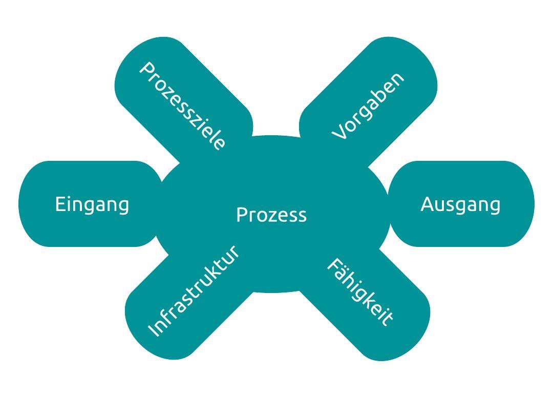 28+ Wahrheiten in Turtle Diagramm Turtle diagramm mit