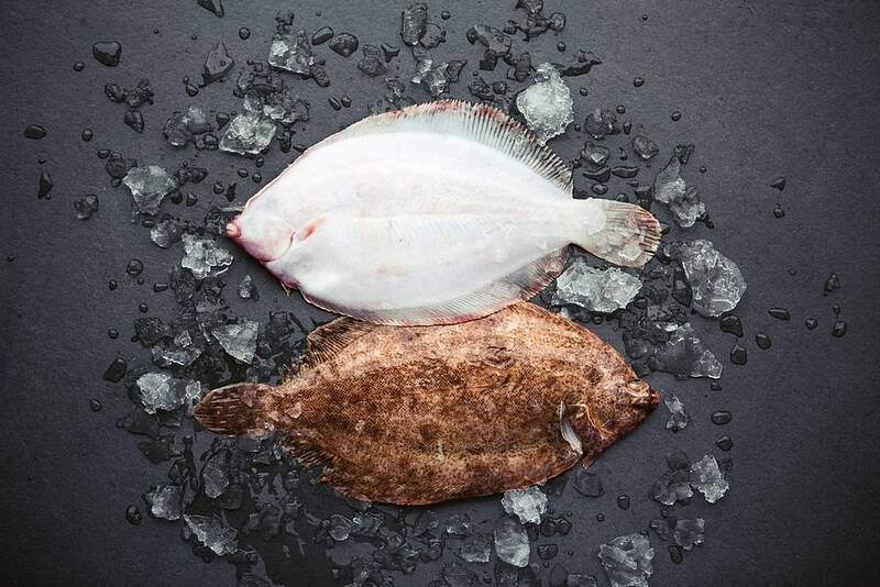 Lemon Sole QA Fish