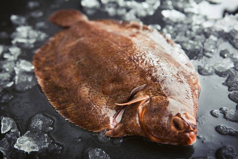 Lemon Sole QA Fish