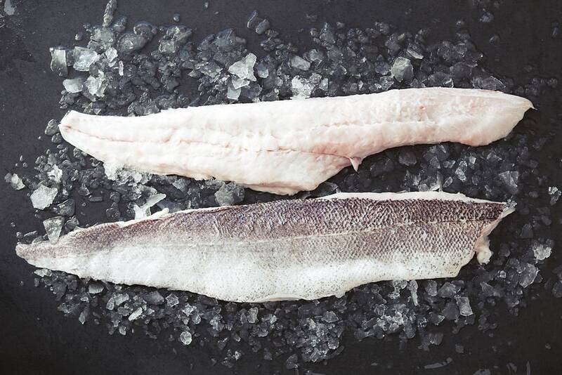 Hake QA Fish