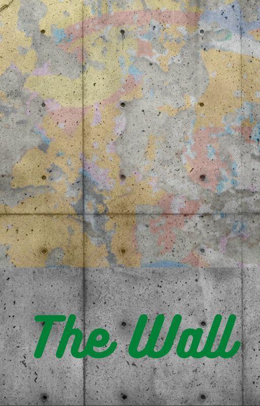 The Wall Story