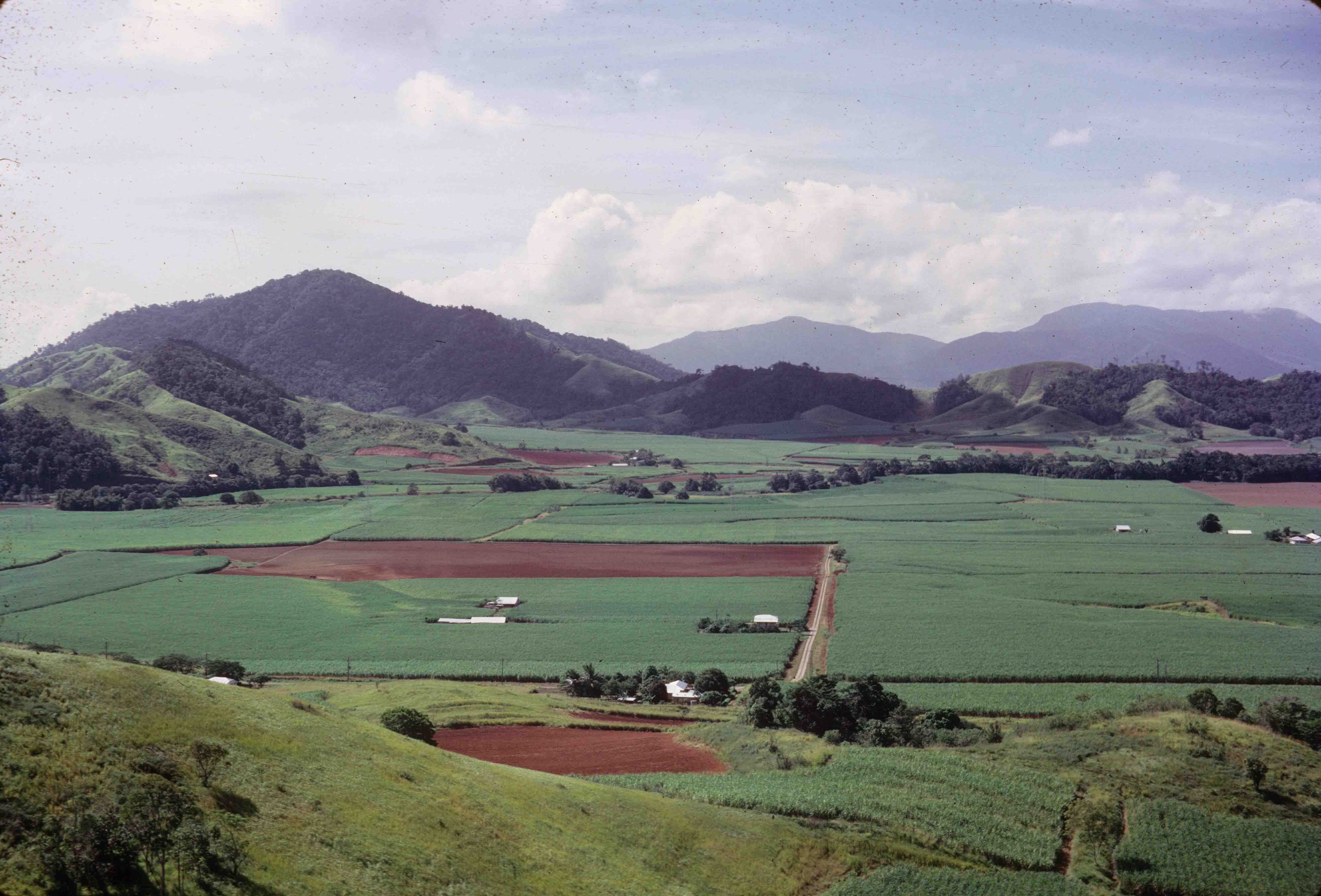 Sugar cane, Atherton Shire, 1966 Queensland Historical Atlas
