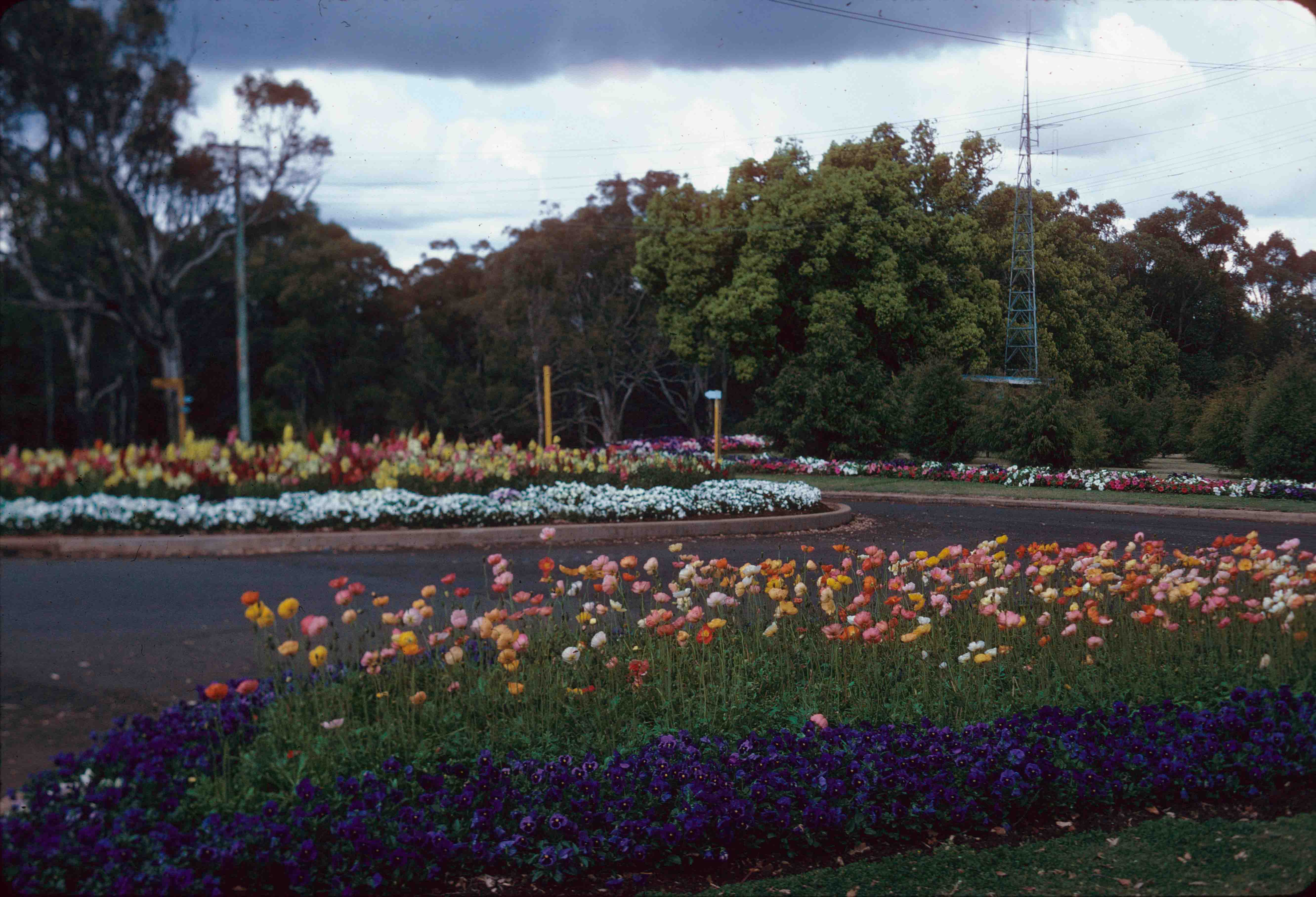 Carnival of Flowers, Toowoomba, 1982 Queensland Historical Atlas