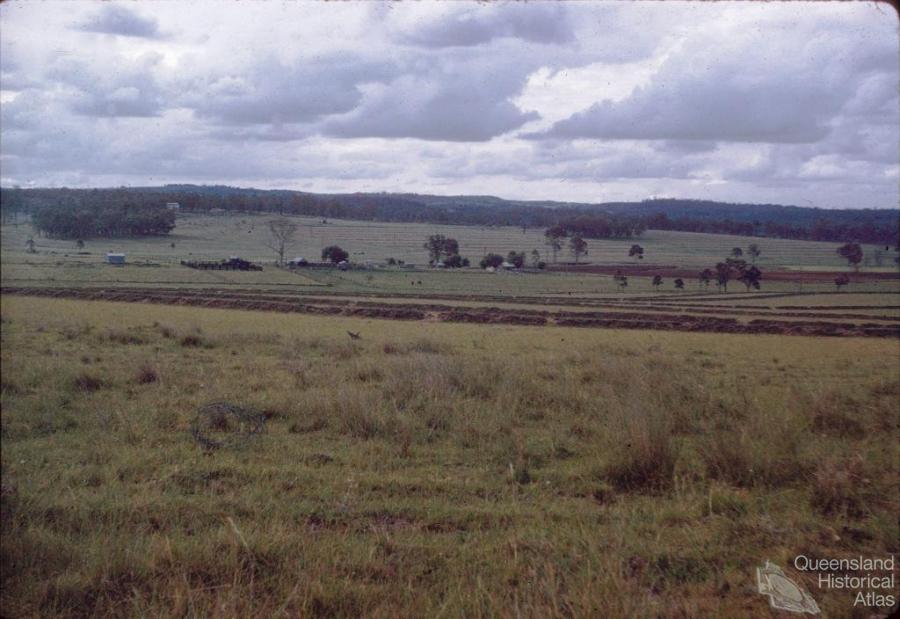 Contour farming, Durong, 1958 Queensland Historical Atlas
