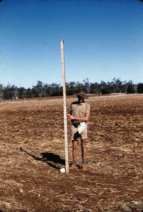 Surveying contour bank, Murgon, 1958 Queensland Historical Atlas