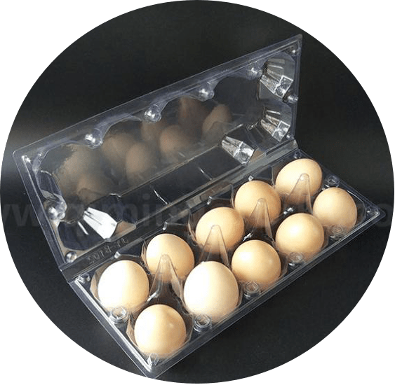 PVCeggtray3 Qiming Packaging Lids Caps Bungs,Cans Pails Buckets