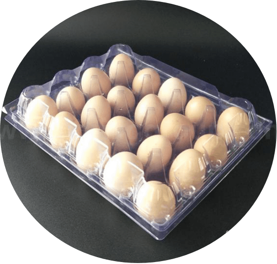PVC and Egg Trays QM Packaging