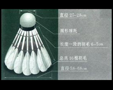 飞速体育 5