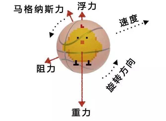 飞速体育 5