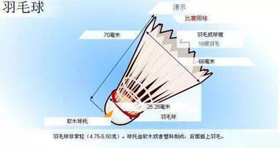 球拖