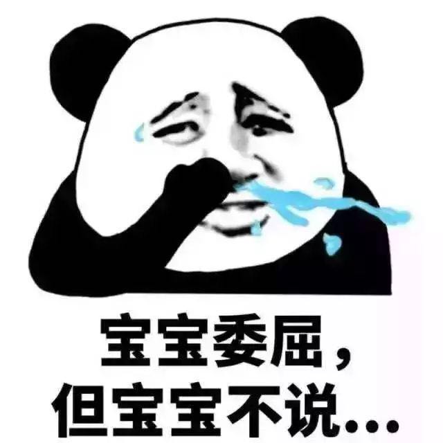 大熊猫