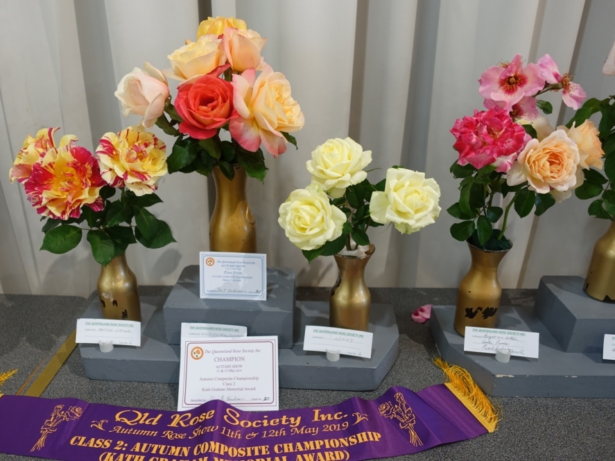 Queensland Rose Society Photos Rose Activities