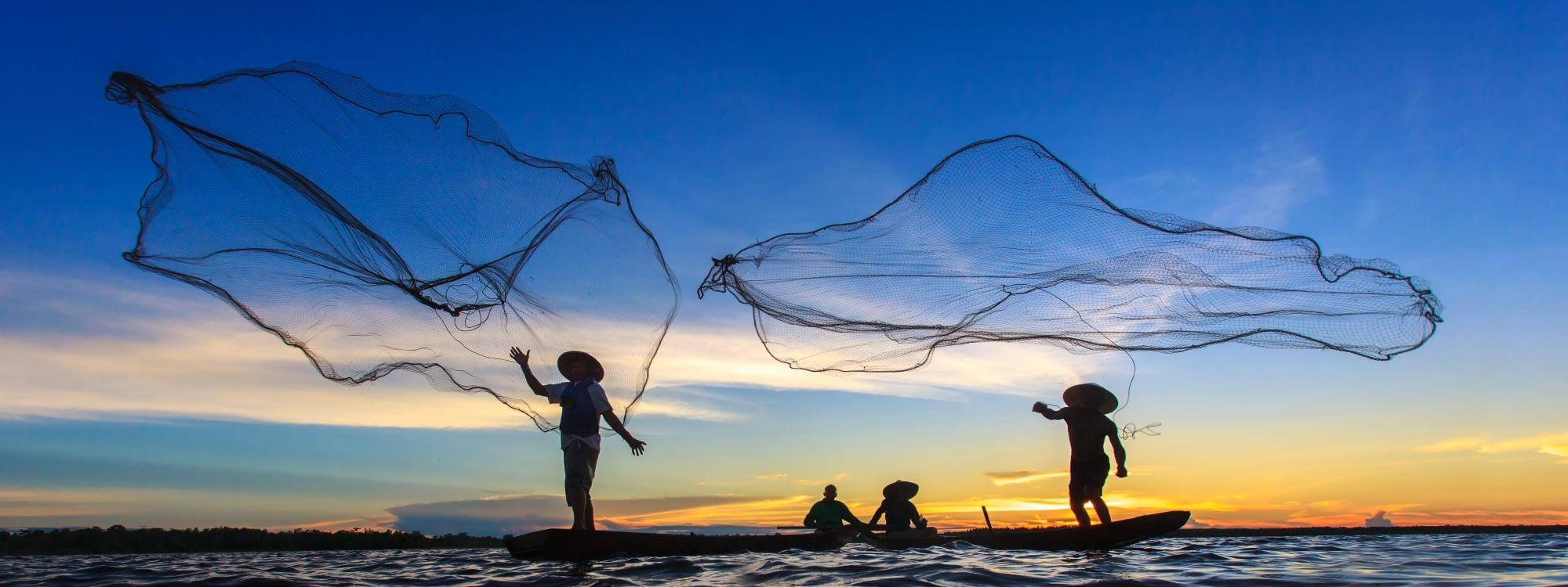 The Importance of Casting a Wide Net While Innovating Qmarkets