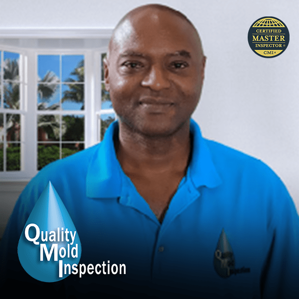Mold Inspection Experts of South Florida Quality Mold Inspection