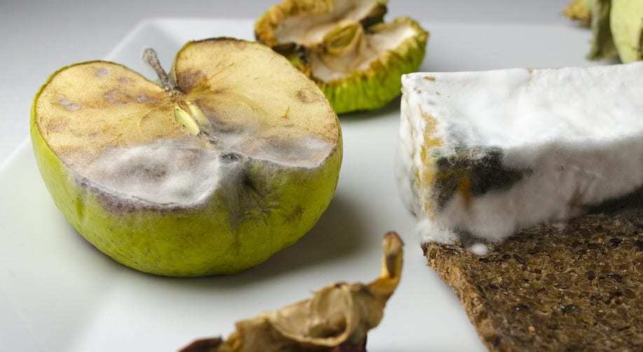 NFC labels could send rotten food warning to mobile phones