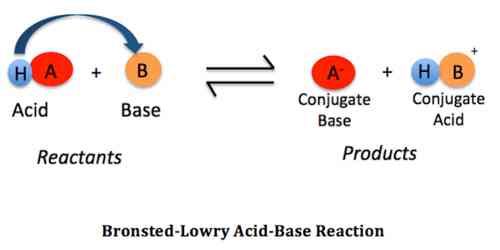 Acids and Bases BronstedLowry Concept QS Study