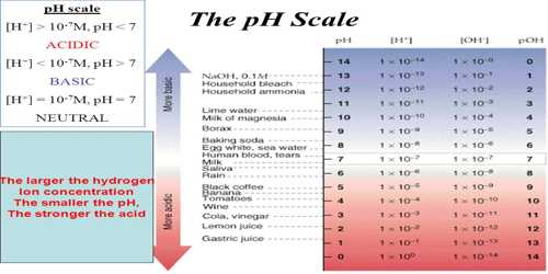 Hydrogen Ion Concentration the pH Scale QS Study