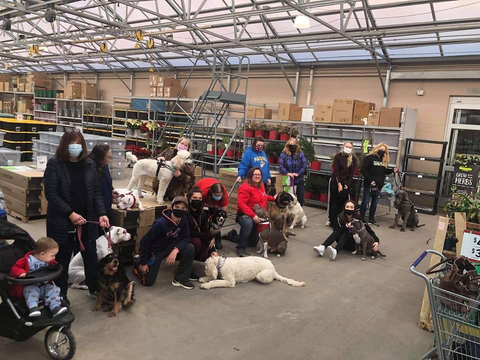 Rally Around Obstacles At All About Pets In Galesburg Today Quad