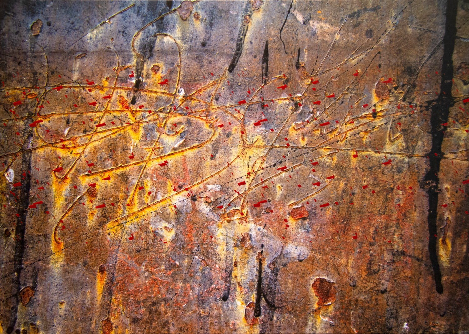 Quadrant Gallery Contemporary Art Gallery Hawthorn