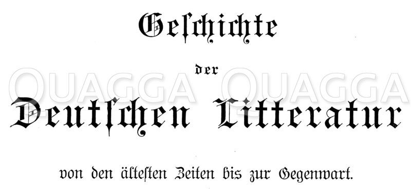 Schriftzug 'Geschichte der Deutschen Litteratur' Quagga Illustrations