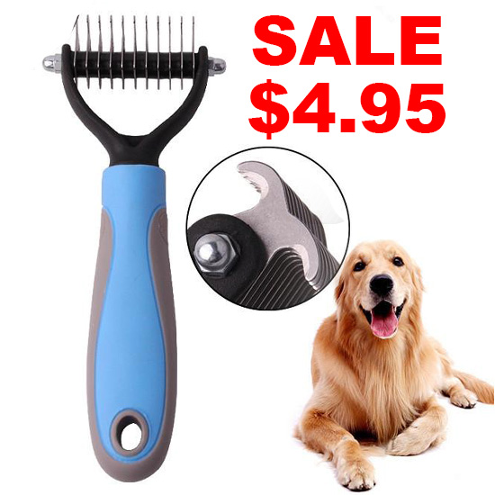 What Is A Knot On A Dog