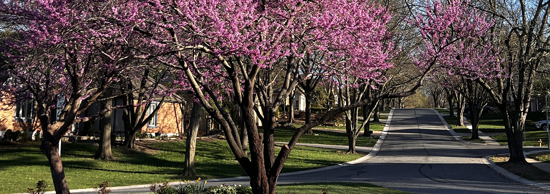Quail Valley Homes Association