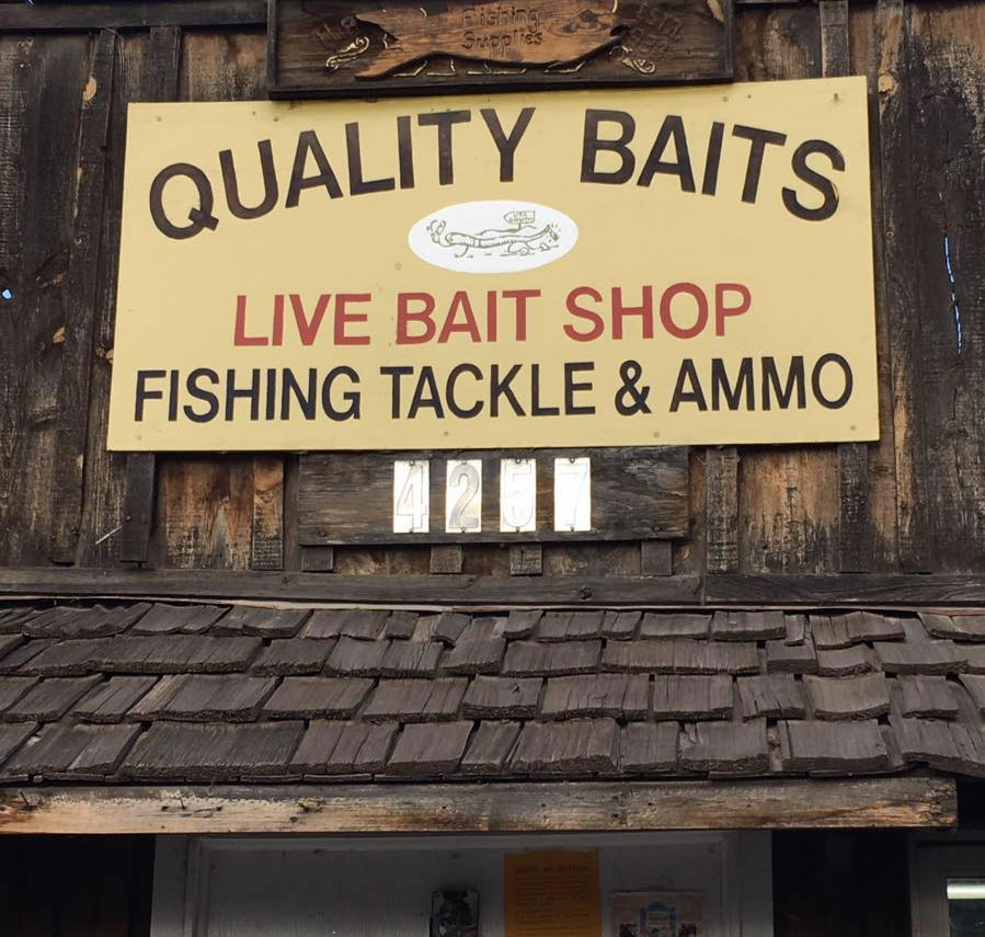 Quality Baits & Pond Fish in Albuquerque, NM