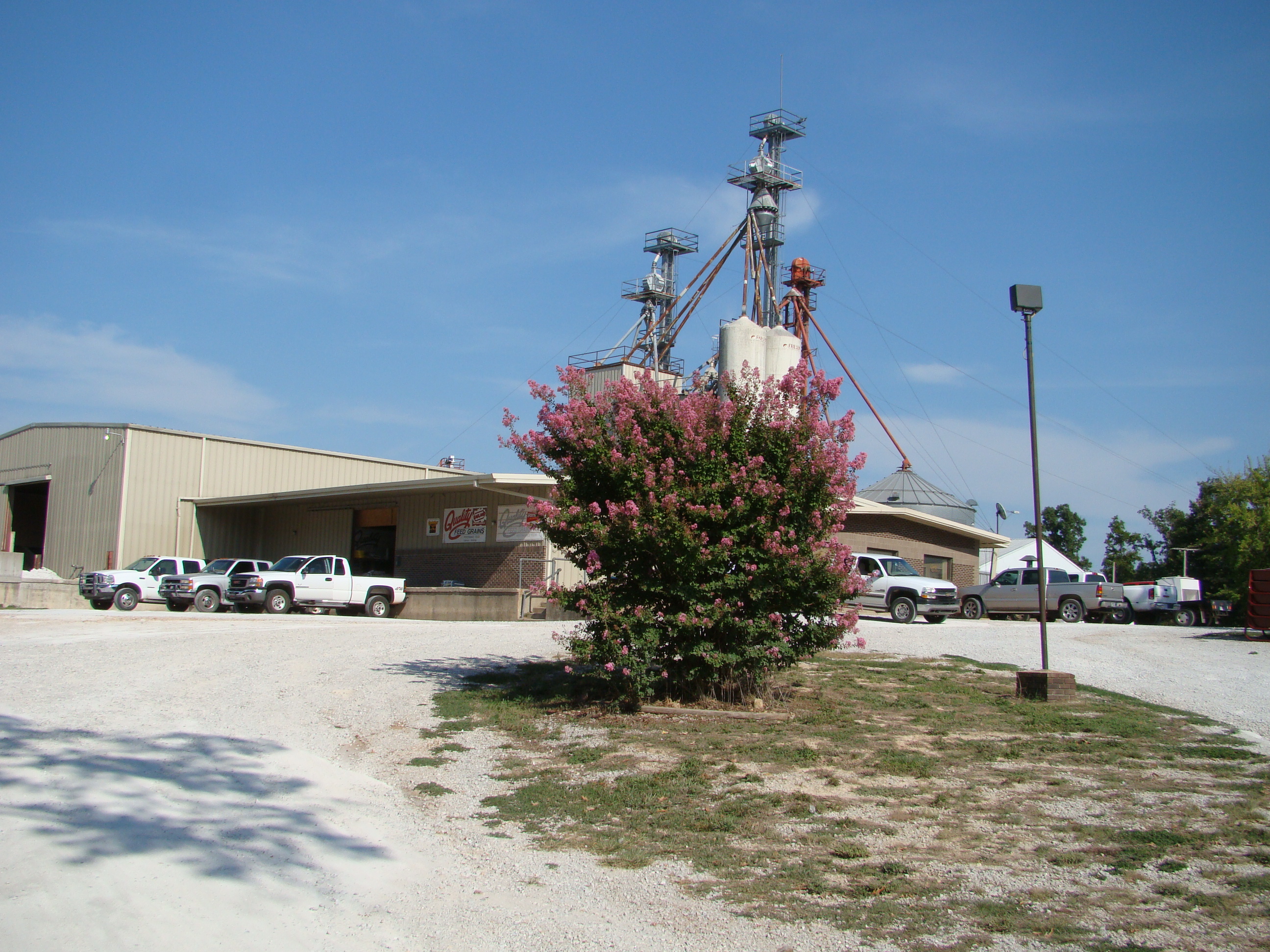 QUALITY FEED GRAINS INC