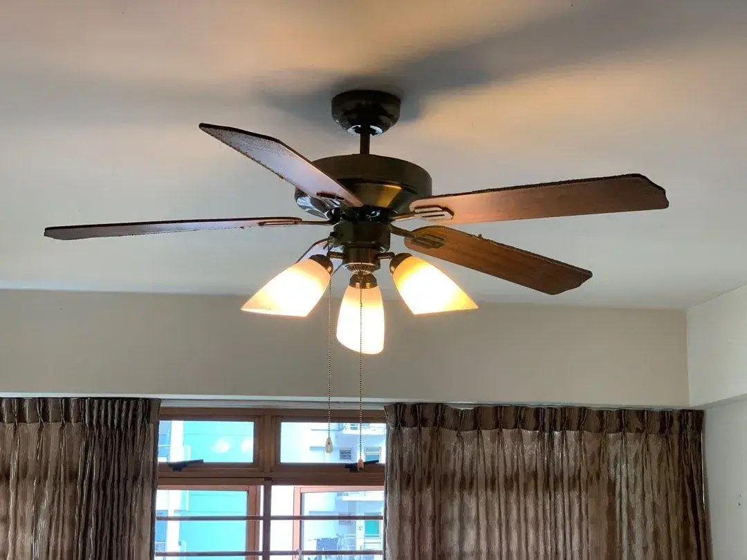 What Type Of Ceiling Fan Light Is Best?
