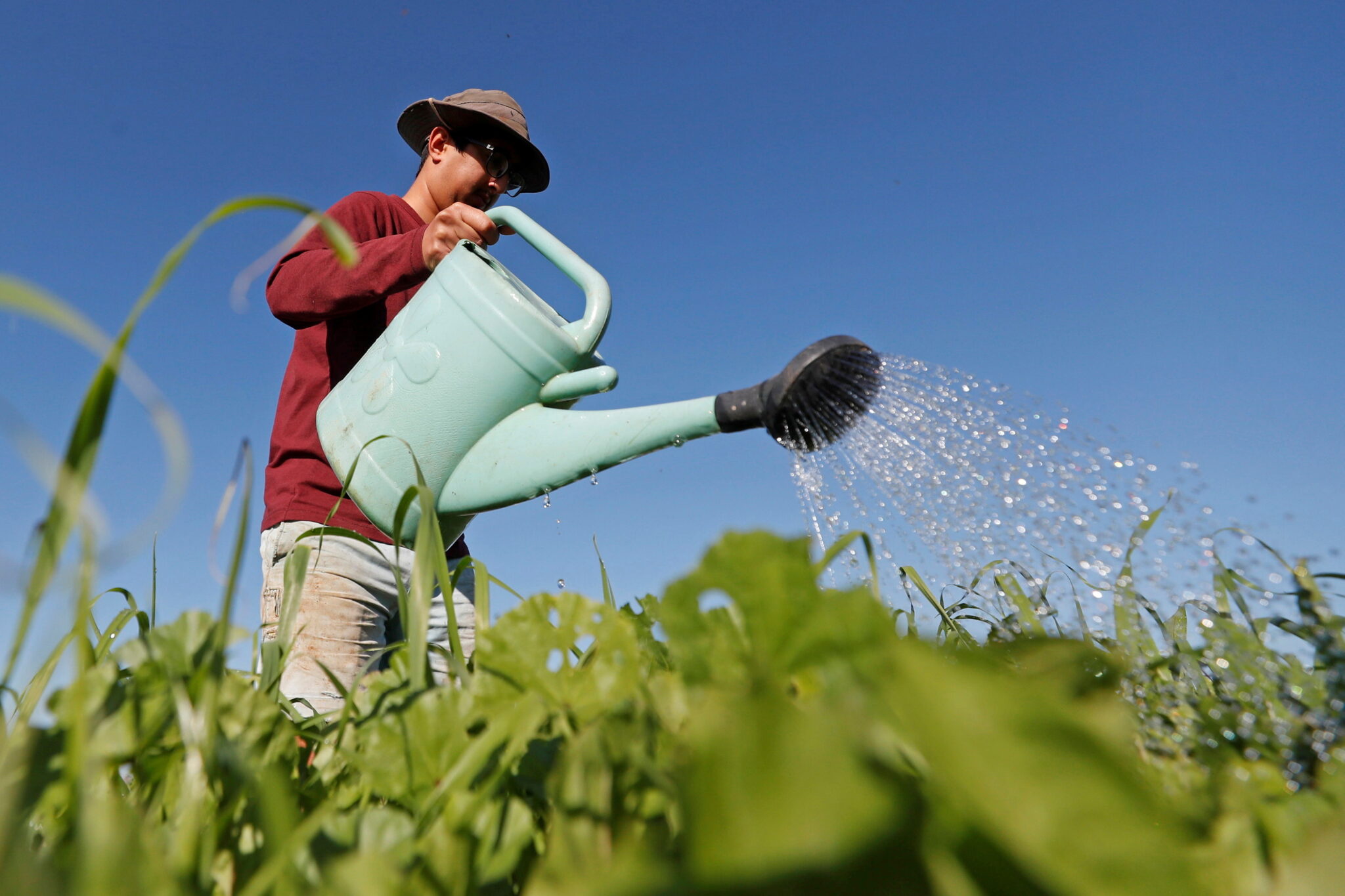 What is carbon farming and what are the benefits Quantiko