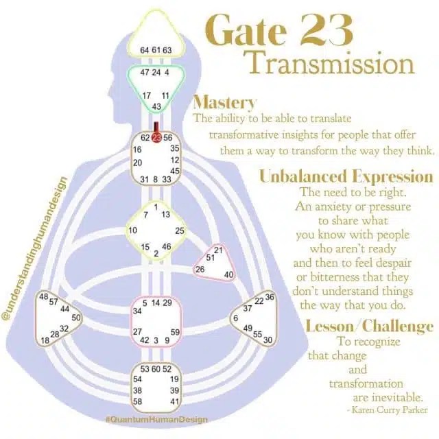 Human Design And Evolution / Transit Report Quantum Alignment System