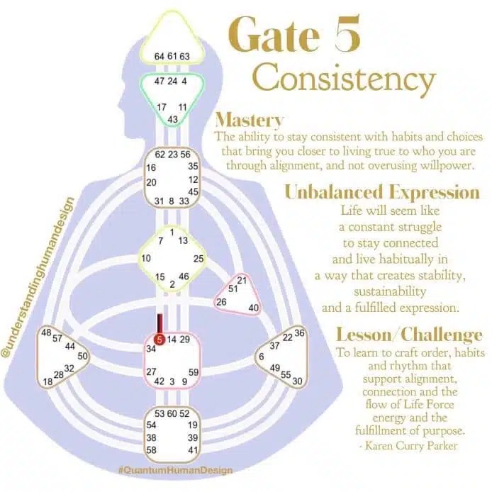 Human Design And Gate 26 Quantum Alignment System